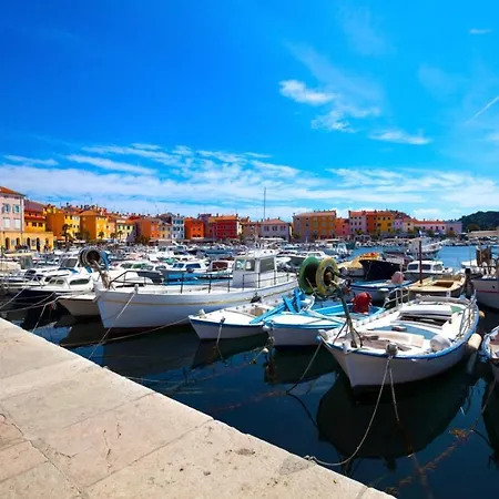 Apartment In Novigrad With Balcony, Air Conditioning, Wifi, Washing Machine