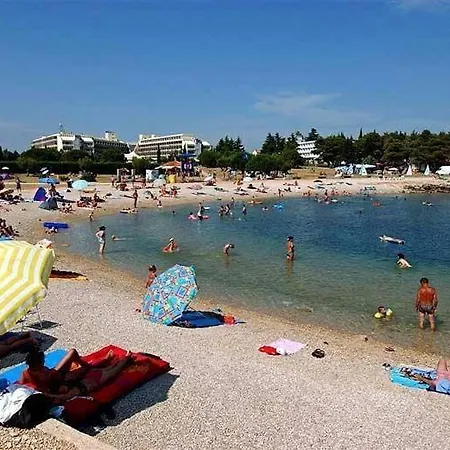 In Novigrad With Balcony, Air Conditioning, Wifi, Washing Machine Apartment *