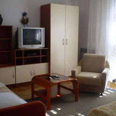 In Novigrad With Balcony, Air Conditioning, Wifi, Washing Machine Apartment *